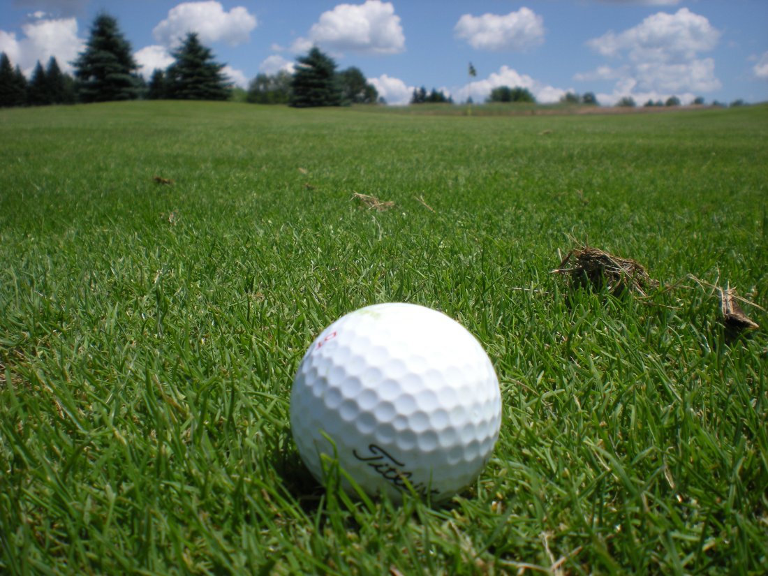 3758719456_243bb4109d_o